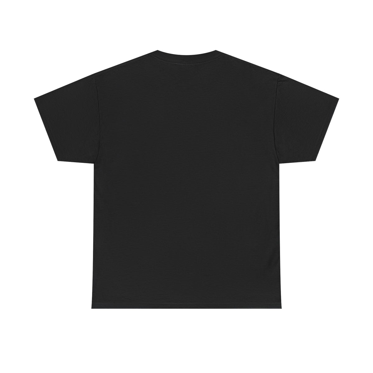 REGFIT Stay Ready T-Shirt